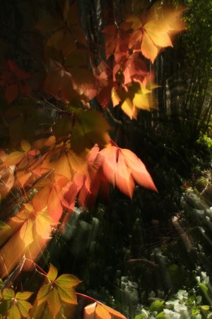 Jesenný karneval 2.