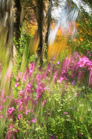 z jarnej palety, rozliali sa farby jari, keď maľovala v parku